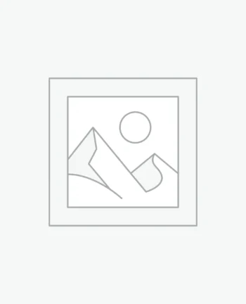 Google Nest Accessories